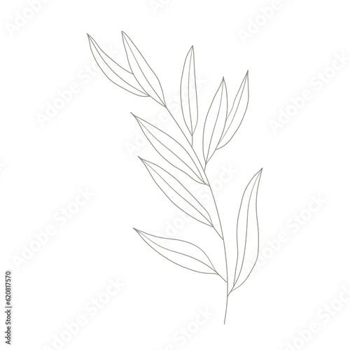 Tropical leaves of hand drawn line art modern style. png illustrations.