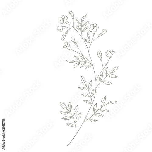 Branch of a tree Floral Line Art 