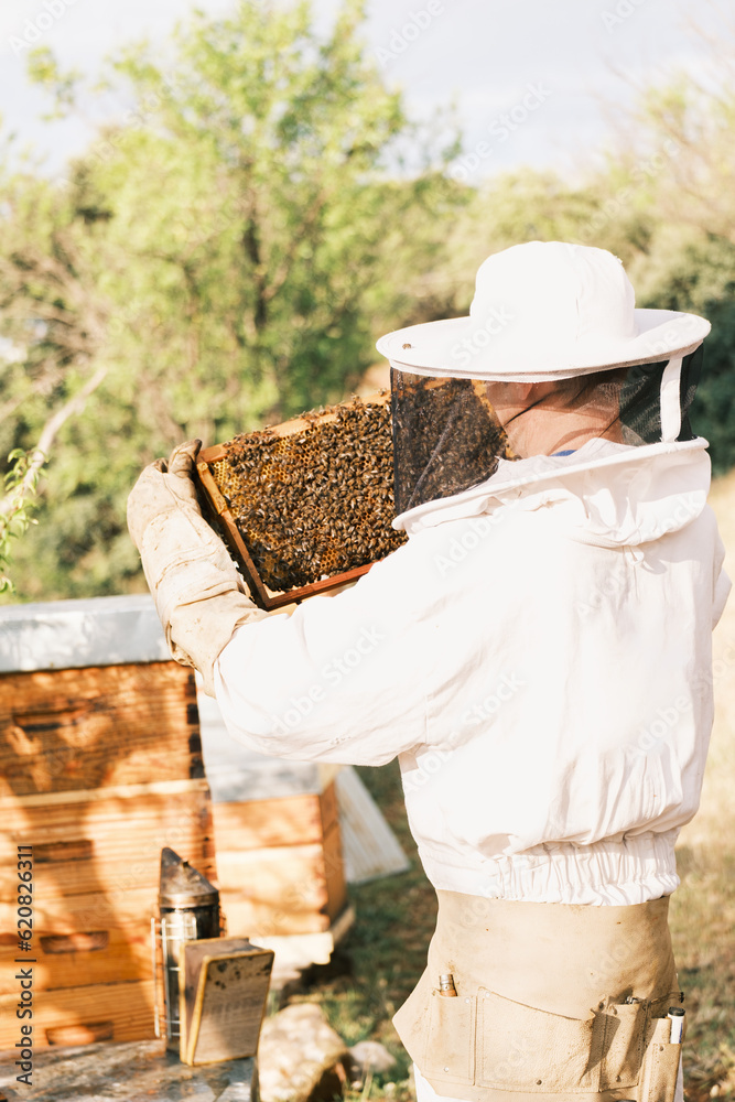 Anonymous beekeeper with part of beehive in apiary Anonymous beekeeper with part of beehive in apiary