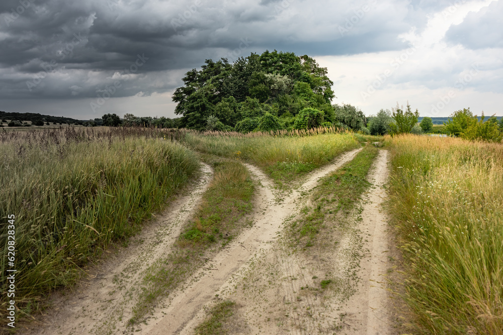 Two roads in the countryside with a meadow and trees on a cloudy summer day with rain clouds in the sky. Path choice concept