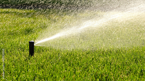 Automatic garden irrigation system watering lawn with adjustable head. Automatic equipment for irrigation and maintenance of lawns, gardening.