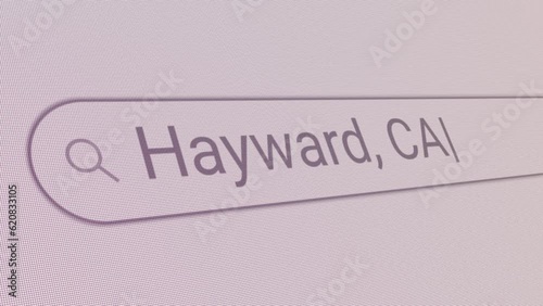 Search Bar Hayward CA 
Close Up Single Line Typing Text Box Layout Web Database Browser Engine Concept photo