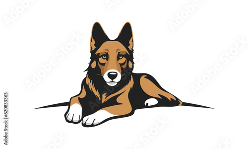Vector cartoon cute beautiful lying dog breed shepherd dog. White isolated background.