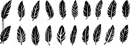 Feather icons. Set of black feather silhouettes icons isolated on transparent background.