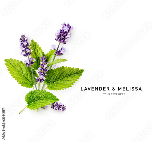 Lavender and melissa lemon balm creative layout isolated on white .