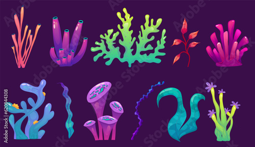 Coral reef underwater set with algae. Seaweed ocean plant. Coral set undersea fauna. Cartoon Reef isolated. Cartoon Vector design.