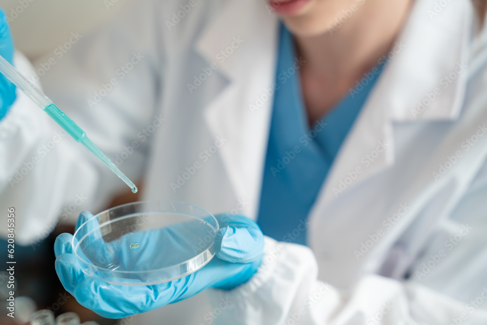 Science and medicine, scientist analyzing and dropping a sample into a glassware, experiments containing chemical liquid in laboratory on glassware, innovative and technology. Science and medicine, scientist analyzing and dropping a sample into a glassware, experiments containing chemical liquid in laboratory on glassware, innovative and technology.