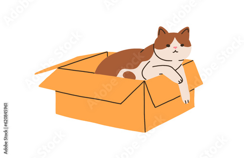 Cute cat lying inside cardboard box. Funny kitty relaxing in open carton package. Amusing sweet lovely feline animal on paperboard packing. Flat vector illustration isolated on white background