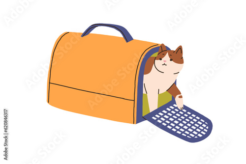 Cute cat in pets carrier. Kitty going out from open door of travel cage bag. Feline animal and carry box, case for transportation, journey. Flat vector illustration isolated on white background