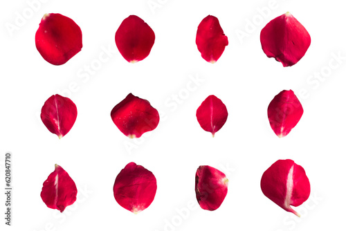 Set of 12 red rose petals on a white background or transparent Fototapet