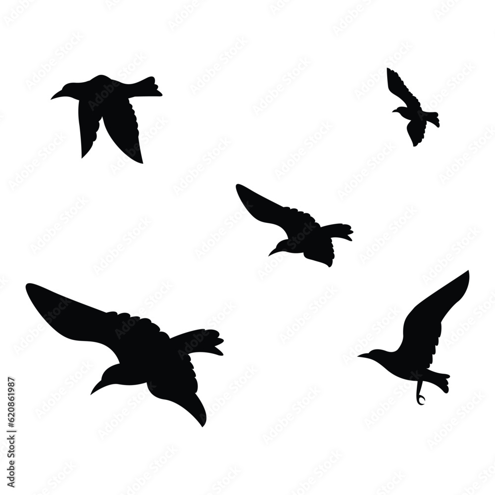 Obraz premium flock of birds