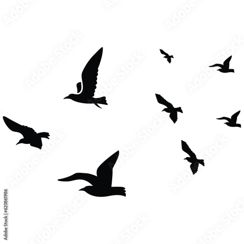 flock of birds © Arthit
