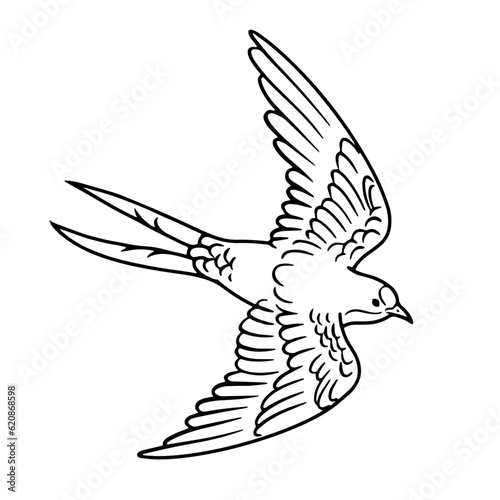 手描きの飛行するツバメの線画イラスト_モノクロ
