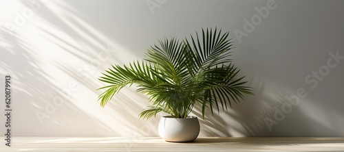 a palm plant in a white vase is placed on top of a wooden surface, Generative AI