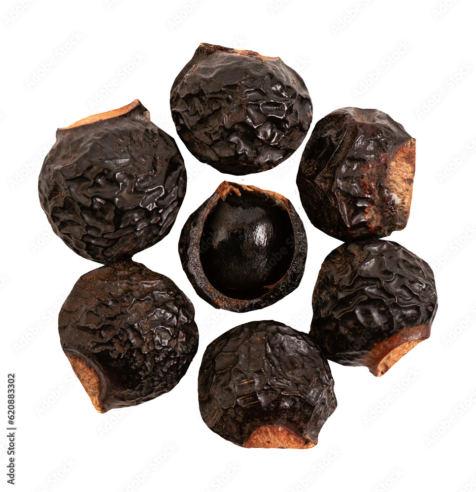 Sapindus rarak fruits on transparent background. Sapindus rarak fruits on transparent background.