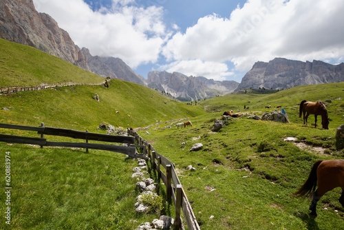 Natural park Puez Odlez, Dolomiti Italy