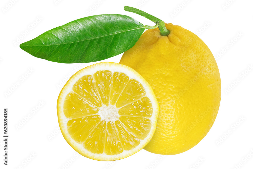 Whole and cut lemons on an isolated white background.