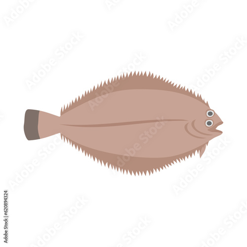 ヤナギムシガレイ（ササガレイ）。フラットなベクターイラスト。
Willowy flounder. Flat designed vector illustration.