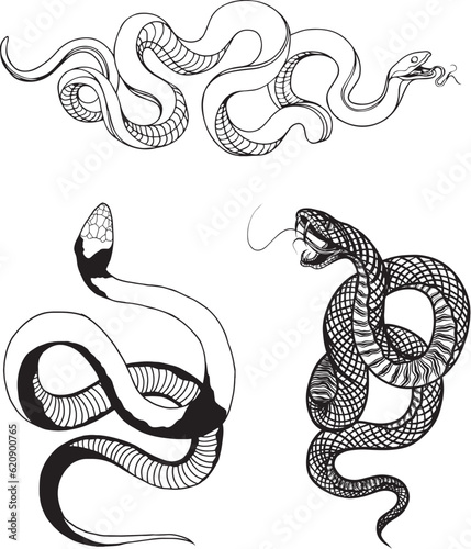 illustration of a snake set