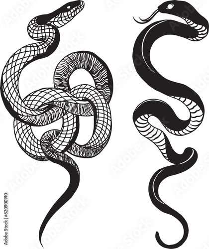 black and white snake tattoo photo