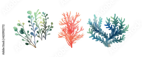 Seaweed watercolor. Vintage botanical illustration. Vector decoration. Hand drawn sketch.