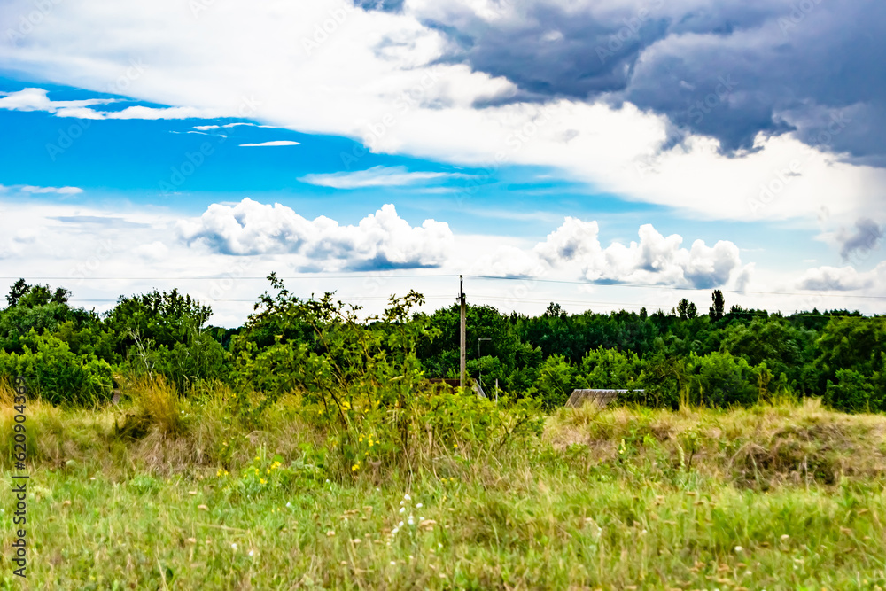 Fototapeta premium Beautiful horizon scenery in village meadow on color natural background