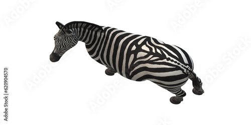 Zebra isolated on a Transparent Background