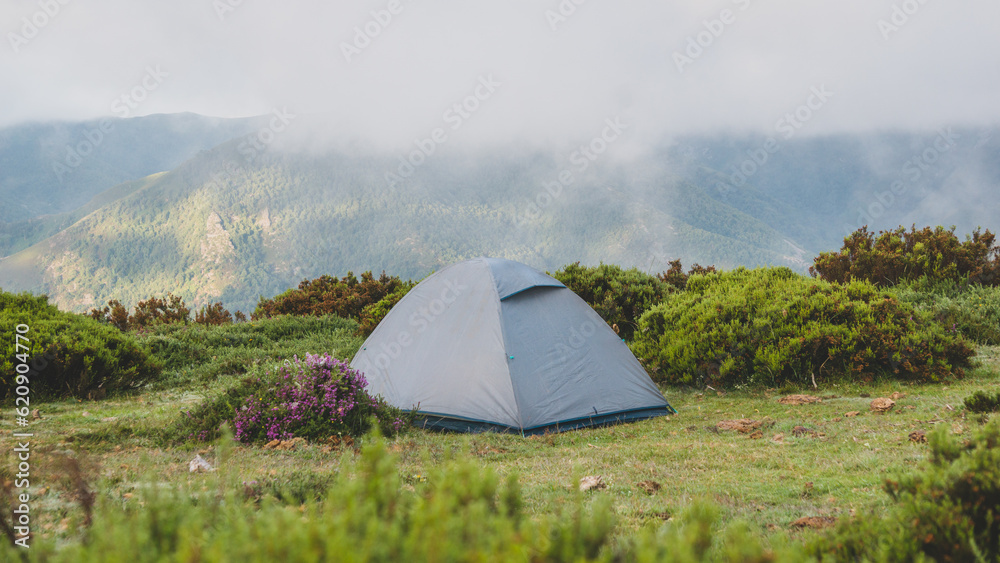 One tent in the wilderness at sunrise with a little fog