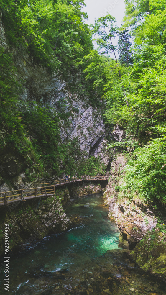 Beautiful nature landscape of a river going across the gorge with a runaway on the wall