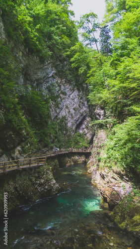 Beautiful nature landscape of a river going across the gorge with a runaway on the wall