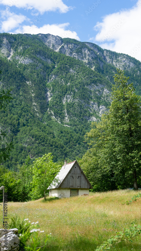 Beautiful picture of the Alps mountains with a wooden hut on the grass Beautiful picture of the Alps mountains with a wooden hut on the grass