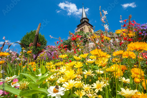 Turm der katholischen Dreifaltigkeitskirche in Lauterbourg. Im Vordergrund eine Anpflanzung bunter Wildblumen. Departement Elsass in Frankreich photo