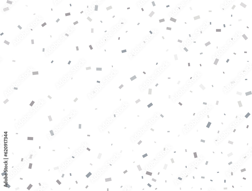 Holiday Rectangular Silver Confetti