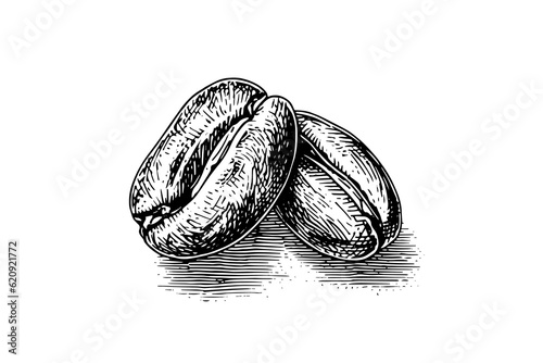 Coffee beans hand drawn engraving style vector illustration.