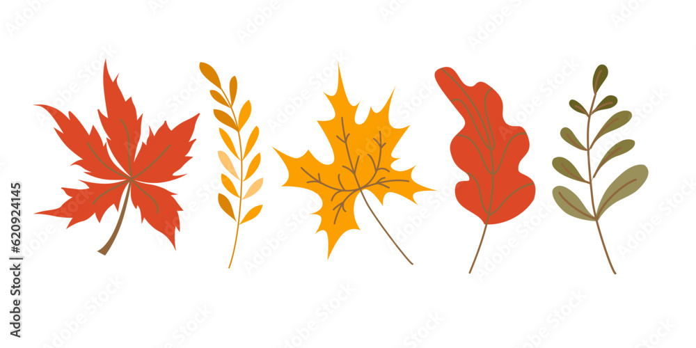 Cute Autumn colorful leaves cartoon style. Fall leaves set, isolated on white background. Isolated vector illustration.