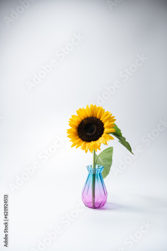 花瓶とひまわり