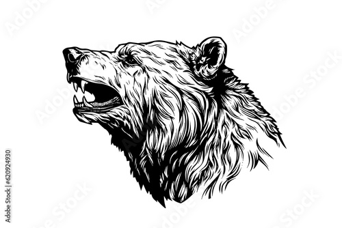 Bear head side view logotype vector engraving style illustration
