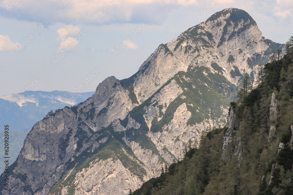 Wanderziel im Fokus; Blick vom Braunedl zum Rinnkogel (1823m) Wanderziel im Fokus; Blick vom Braunedl zum Rinnkogel (1823m)