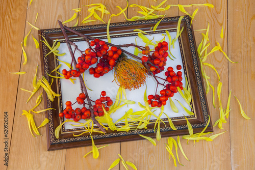 Red rowan berries on a rowan tree. Red apple. Yellow chrysanthemum flower, lilies.Still life in a wooden frame. picture. A rowan tree on a branch. Ashberry. non - GMO .on a white background.	 photo