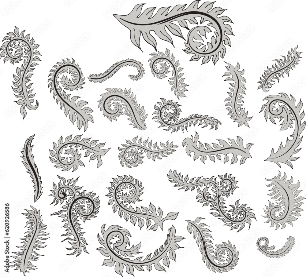 set of elements for design floral set of elements for design floral