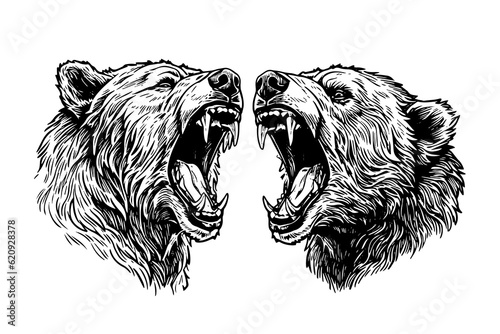 Two bear growling head logotype vector engraving style illustration