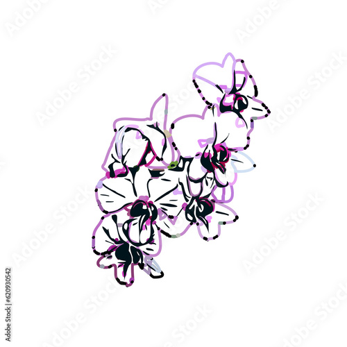 Color sketch of an orchid flower with transparent background