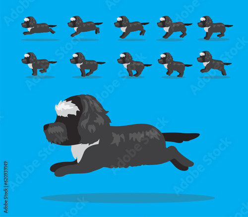 Animal Animation Sequence Dog Portuguese Water Dog Cartoon Vector photo