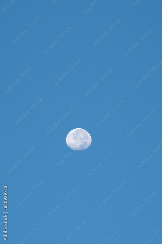 The moon at the sunright on the day The moon at the sunright on the day