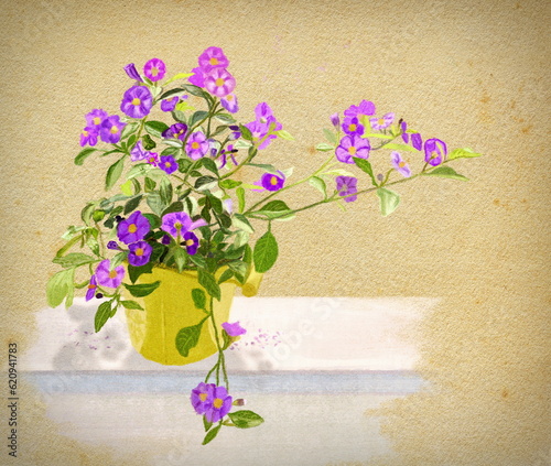 Lila Blumen im gelben Topf