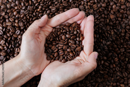 Woman s hands holding freshly roasted aromatic coffee beans