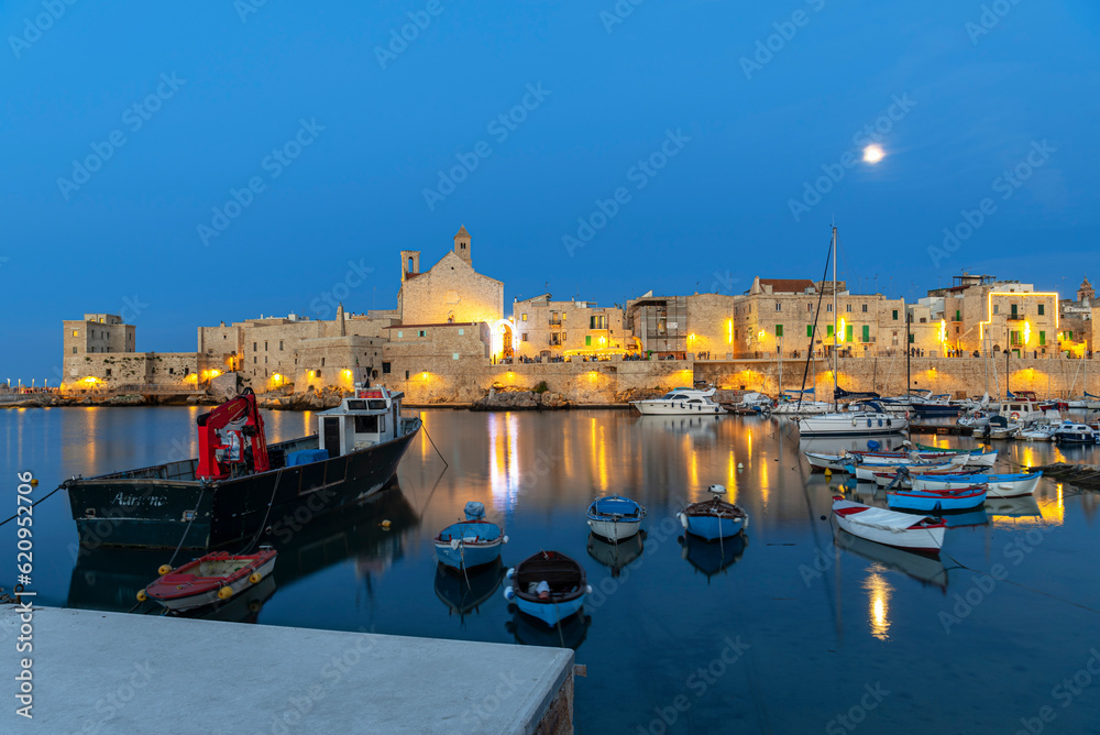 Full moon night over the illuminated medieval village of Giovinazzo ...