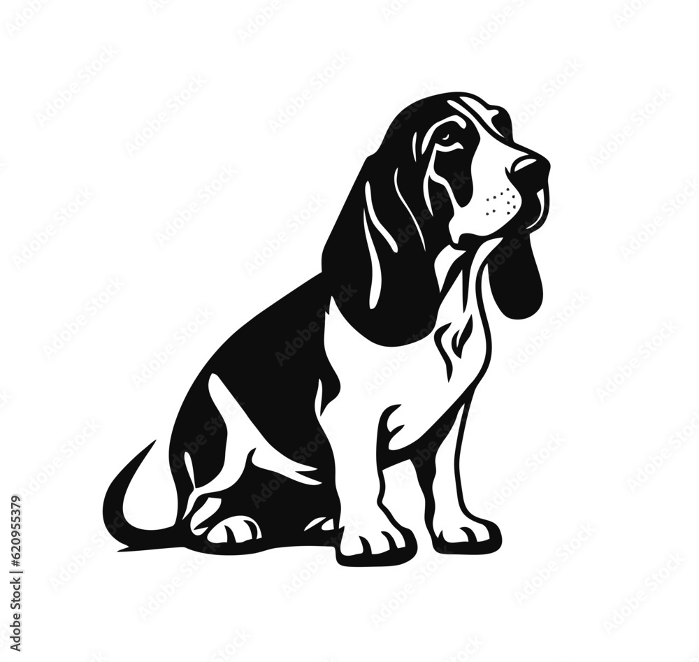 Vector isolated one single sitting Basset Hound dog full body front view black and white bw two