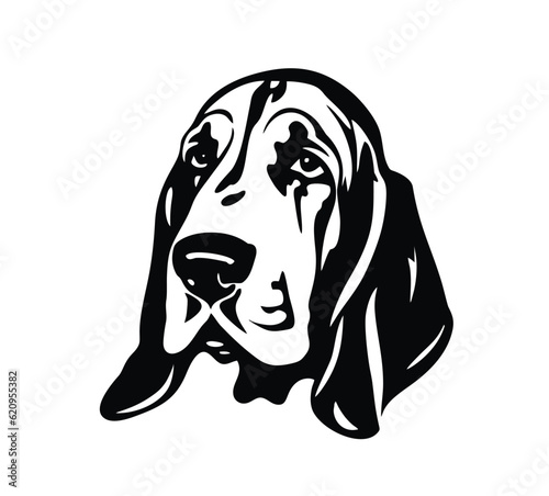 Vector isolated one single sitting Basset Hound dog head front view black and white bw two colors silhouette. Template for laser engraving or stencil, print for t shirt 