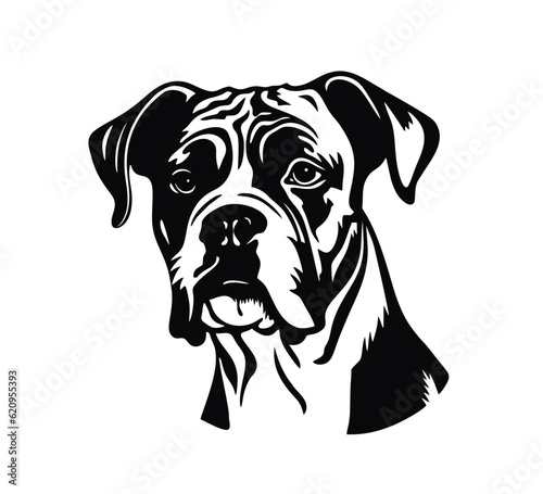 Vector isolated one single sitting Boxer dog head front view black and white bw two colors silhouette. Template for laser engraving or stencil, print for t shirt	